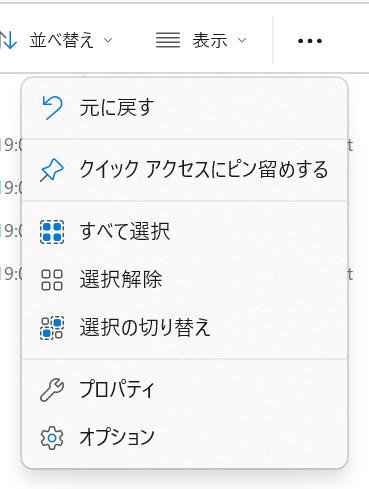 エクスプローラーの三点メニューにあるオプション