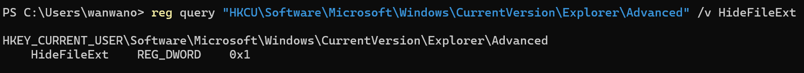 変更前のHideFileExtがREG_DWORDの0x1である照会結果