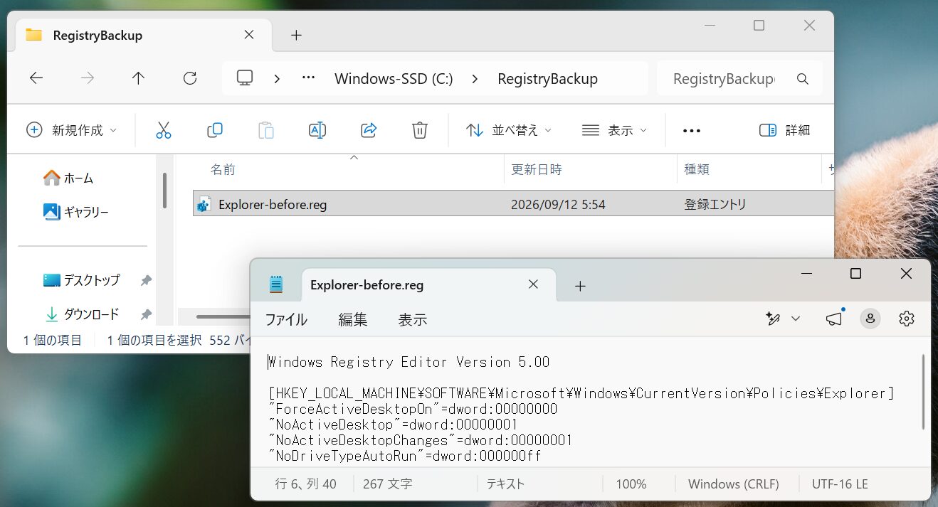 CドライブのRegistryBackupに保存したREGファイルとNoDriveTypeAutoRunの000000ffをメモ帳で確認