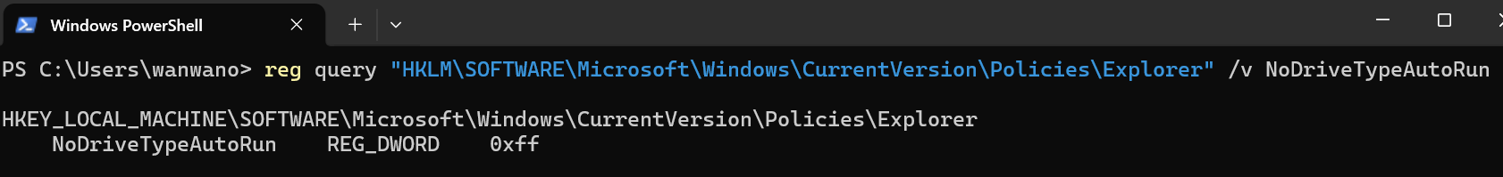 reg queryでNoDriveTypeAutoRunの変更前の値0xffを確認した結果